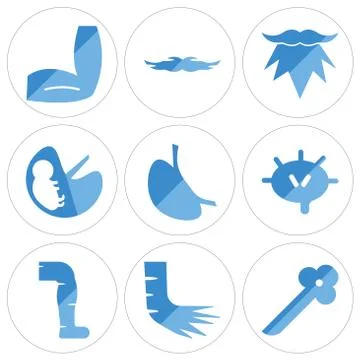Set Of 9 simple editable icons such as Bronchioles, Foot Bones, Men Leg Free Stock Illustration