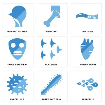 Set Of 9 simple editable icons such as Skin Cells, Three Bacteria, Big Cellul Selección de ilustraciones gratis