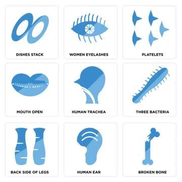 Set Of 9 simple editable icons such as Broken Bone, Human Ear, Back Side Of L Free Stock Illustration