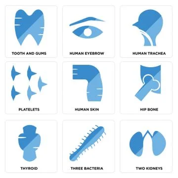 Set Of 9 simple editable icons such as Two Kidneys, Three Bacteria, Thyroid Illustrazione stock gratuita