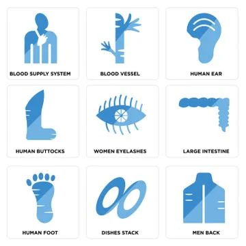 Set Of 9 simple editable icons such as Men Back, Dishes Stack, Human Foot Free Stock Illustration