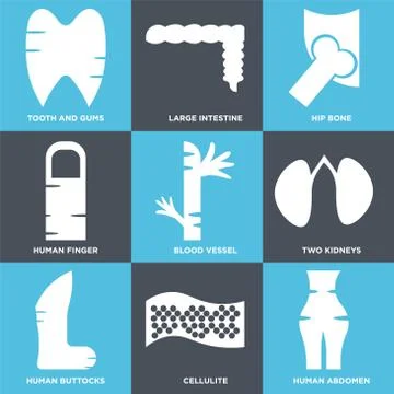Set Of 9 simple editable icons such as Human Abdomen, Cellulite, Human Buttoc Free Stock Illustration