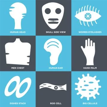 Set Of 9 simple editable icons such as Big Cellule, Rod Cell, Dishes Stack Free Stock Illustration