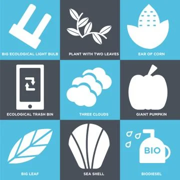 Set Of 9 simple editable icons such as Biodiesel, Sea Shell, Big Leaf Free Stock Illustration