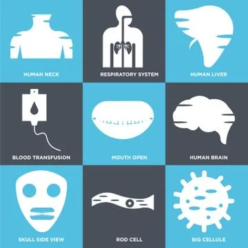 Set Of 9 simple editable icons such as Big Cellule, Rod Cell, Skull Side View Selección de ilustraciones gratis