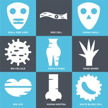 Set Of 9 simple editable icons such as White blood cell, Human Nostril, Big L Selección de ilustraciones gratis