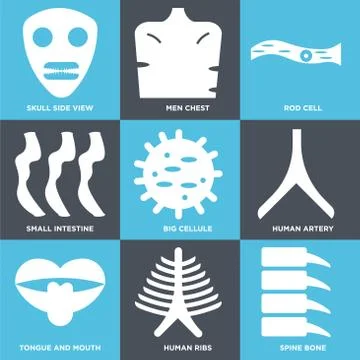Set Of 9 simple editable icons such as Spine Bone, Human Ribs, Tongue and Mou Selección de ilustraciones gratis