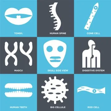 Set Of 9 simple editable icons such as Rod Cell, Big Cellule, Human Teeth Selección de ilustraciones gratis