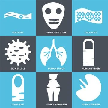 Set Of 9 simple editable icons such as Human Spleen, Human Abdomen, Long Nail Selección de ilustraciones gratis