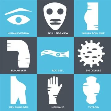 Set Of 9 simple editable icons such as Thyroid, Men Hand, Men Shoulder Selección de ilustraciones gratis