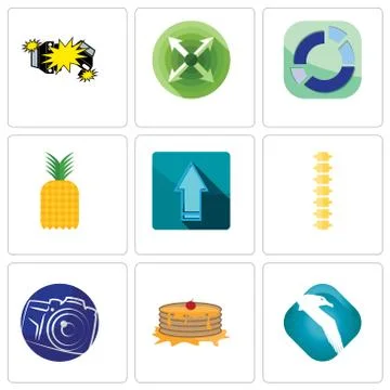 Set Of 9 simple editable icons such as albatross, pancake, photography camera Free Stock Illustration