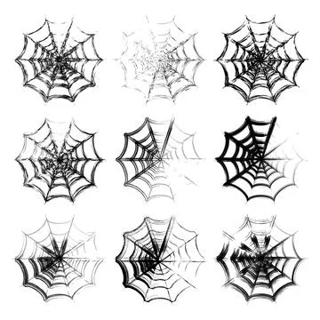 thick spider web outline