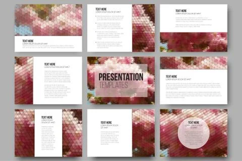 Set of 9 templates for presentation slides. Purple flowers. Abstract Illustrazione stock