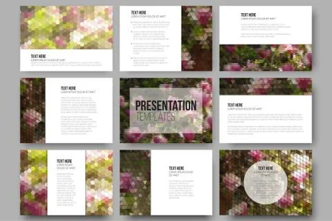 Set of 9 templates for presentation slides. Purple flowers. Abstract 스톡 일러스트
