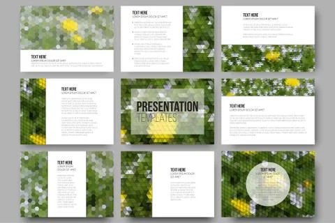 Set of 9 templates for presentation slides. Yellow flowers on the grass 스톡 일러스트