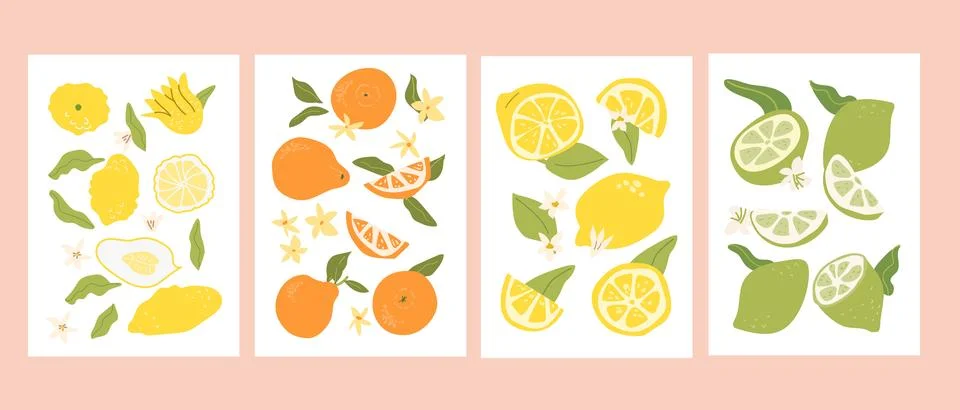 Set of abstract citrus fruit posters, contemporary print. Modern art with han Stock Illustration