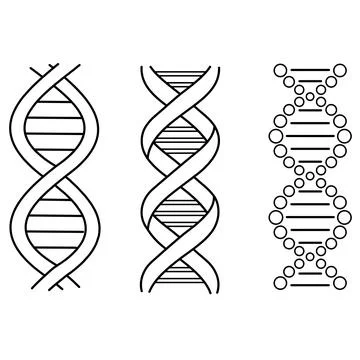 Set of abstract DNA molecule outline icon isolated on white Stock Illustration