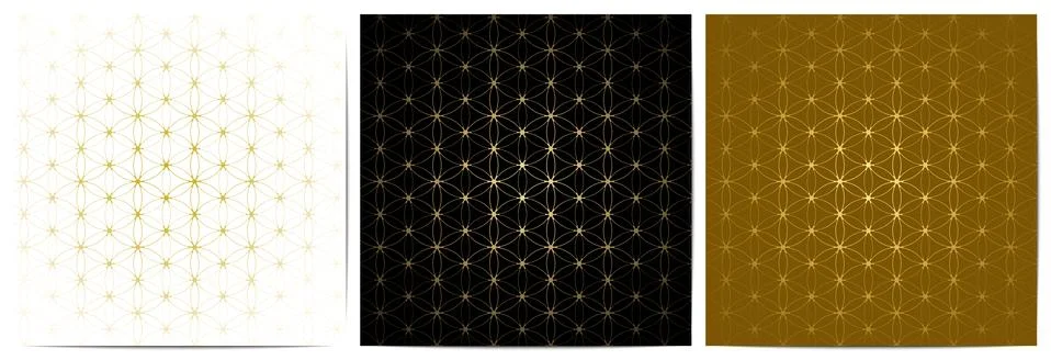 Set of abstract geometric pattern circle overlapping floral design Stock Illustration