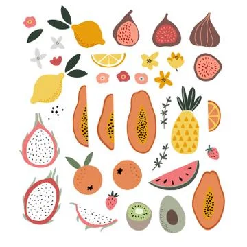 Set of abstract hand drawn shapes, flowers, tropical exotic fruit and abstract 스톡 일러스트