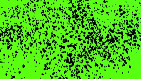 Set of abstract paint, ink bloom splatters, black droplets falling on chroma key Stock Footage 139450079