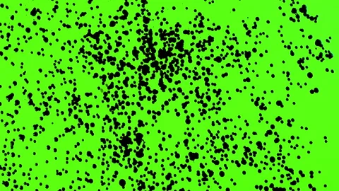 Set of abstract paint, ink bloom splatters, black droplets falling on chroma key Stock Footage 139450775