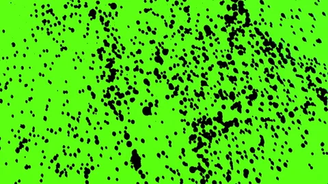 Set of abstract paint, ink bloom splatters, black droplets falling on chroma key Stock Footage 139451380