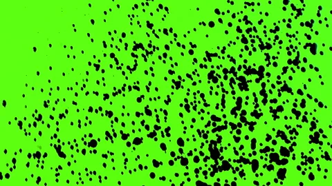 Set of abstract paint, ink bloom splatters, black droplets falling on chroma key Stock Footage 139451505