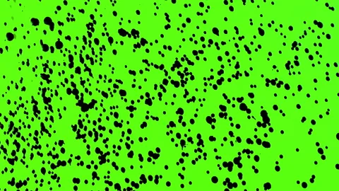 Set of abstract paint, ink bloom splatters, black droplets falling on chroma key Stock Footage 139452265