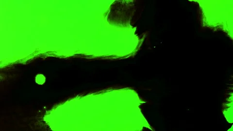 Set of abstract paint, ink bloom splatters, black droplets falling on chroma key Stock Footage 139453859