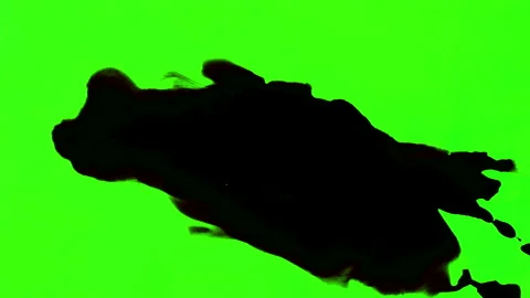 Set of abstract paint, ink bloom splatters, black droplets falling on chroma key Stock Footage 139454527