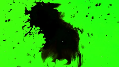 Set of abstract paint, ink bloom splatters, black droplets falling on chroma key Stock Footage 139455712