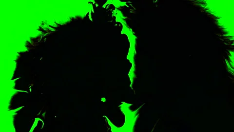 Set of abstract paint, ink bloom splatters, black droplets falling on chroma key Stock Footage 140979731