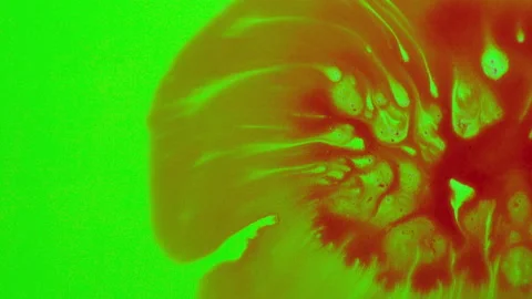 Set of abstract paint, ink bloom splatters, blood spilling on choma key Stock Footage 140980104