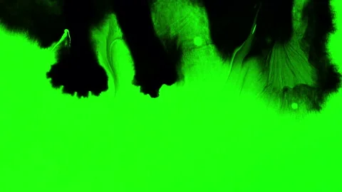 Set of abstract paint, ink bloom splatters, black droplets falling on chroma key Stock Footage 140981533