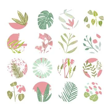 A set of abstract plants in the boho style Stock-Illustration