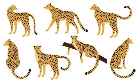 Set of abstract silhouettes of leopards Illustrazione stock
