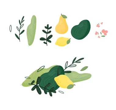 Set of abstract tropical leaves. Vector design elements Stock Illustration