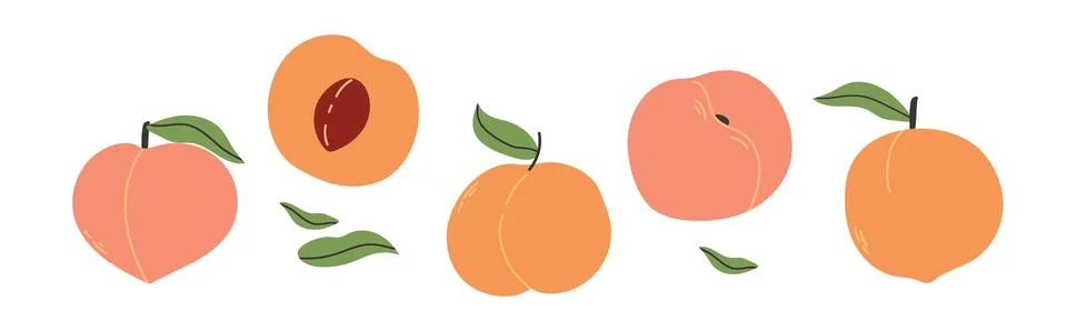Set of abstract vector apricots. Simple apricot. Organic fruit for juice, s.. Stock Illustration