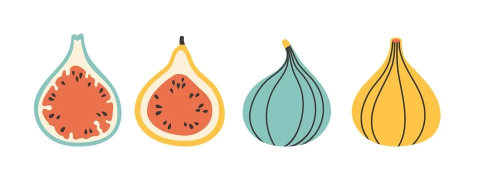 Set of abstract vector fig. Simple fig. Tropical fruit collection design for Stock Illustration