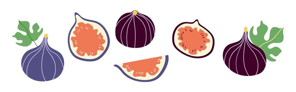 Set of abstract vector figs. Simple figs. Organic fruit for juice, smoothie.. Stock Illustration