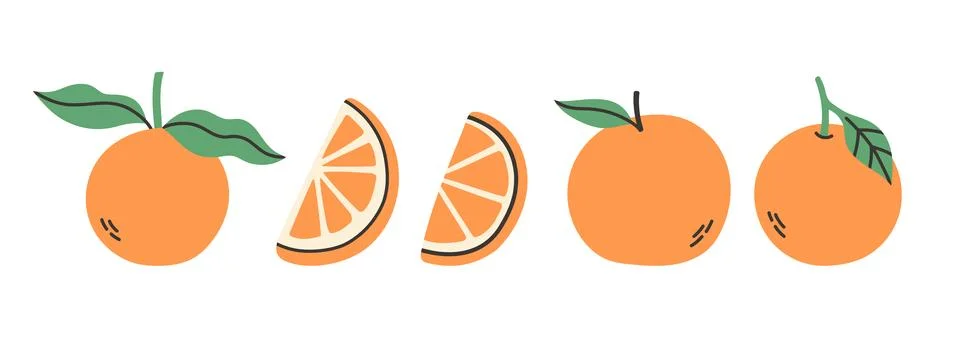 Set of abstract vector orange. Simple orange. Tropical fruit collection design Stock Illustration