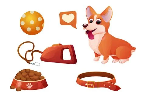 Set accessory corgi dog sitting, adorable pet, bowl with food, leash in cartoon Stock Illustration