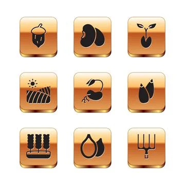 Set Acorn, oak nut, seed, Wheat, Pumpkin seeds, Sprout, Agriculture wheat field Illustrazione stock