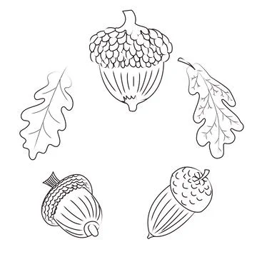 Set of acorns in blown style. Vector illustration isolated on white backgroun Stock Illustration