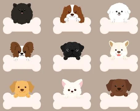 Set of adorable dogs' faces flat colored with front paws holding a bone Stock Illustration