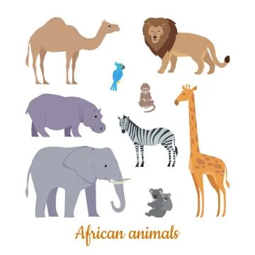 Set of African Animals Flat Design Illustrations Stock Illustration