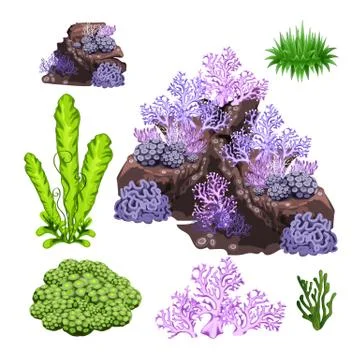The set of algae, corals and underwater rocks isolated on white background Stock Illustration