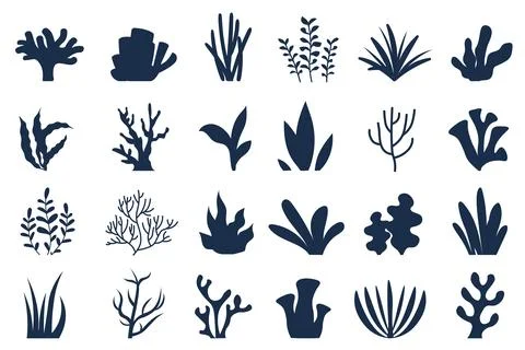 Set of algae. Oceanic flora and wild life. Underwater world and ocean reefs Stock Illustration