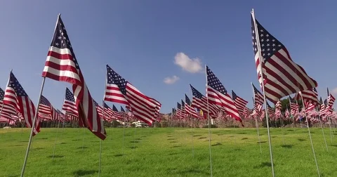 Set of American flags fluttering in the wind on the Memorial Day. Los Angeles Stock Footage 80703244