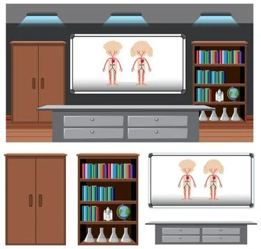 Set of anatomy element in the classroom background Stock Illustration